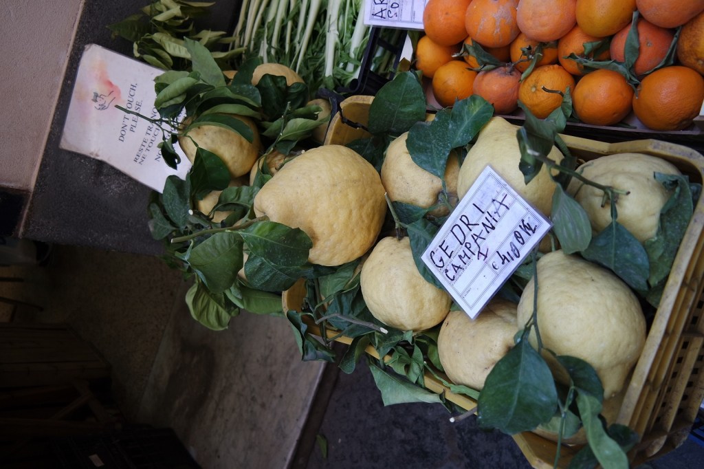 Cetara il tempo e la Colatura - Cedri, arance e limoncelle.