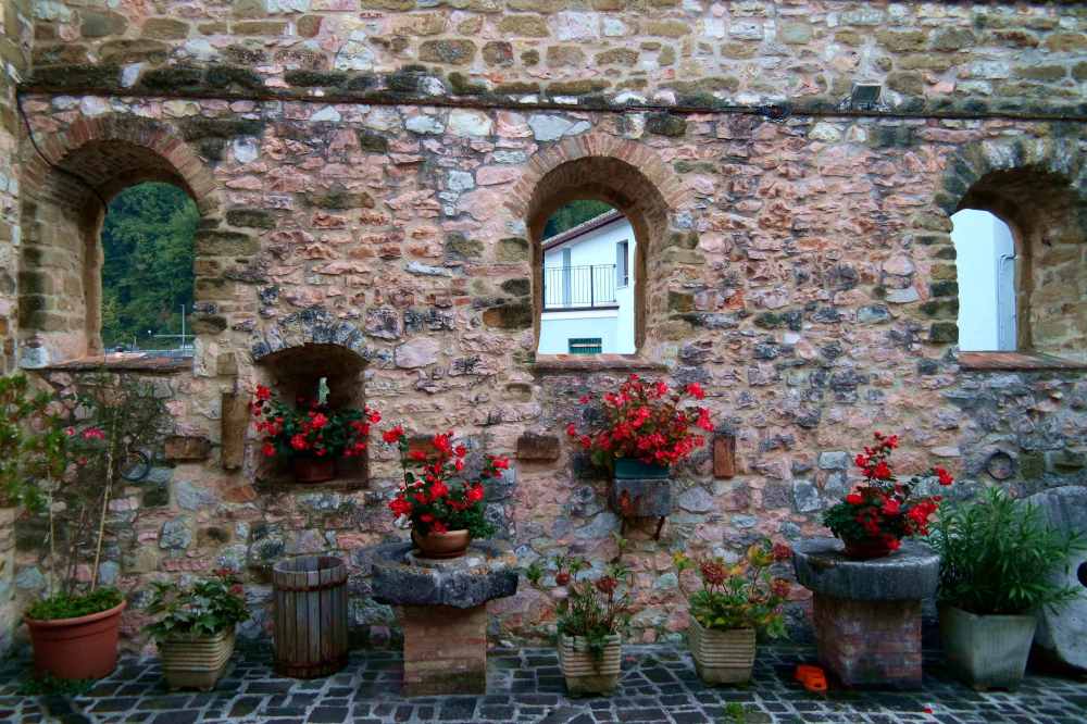 Storie di Vite a Serrapetona: Fiori fra le antiche mura.