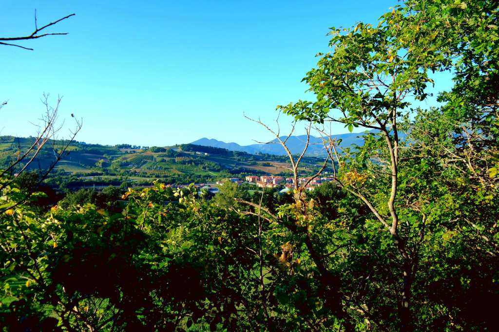   Vendemmia, strada e Terroir.  Il panorama con Matelica sullo sfondo.